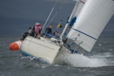 saracen gbr626t whyw18 tue gjmc 7918w
